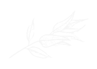 Leaf-01-WHITE