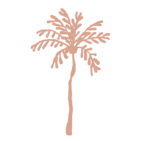 Salmon colored hand-drawn palm tree illustration