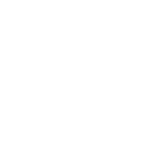 Logo Video Vibes wit