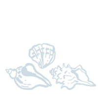 Three light blue hand-drawn seashell illustrations