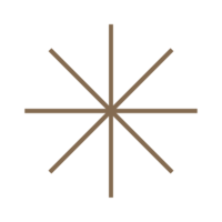 BrightSide_Assets_Star_Brown