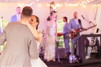 Great Fall Virginia Backyard Wedding in the Spring in DC