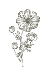 Nashville Wedding Flowers