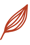 decorative shape
