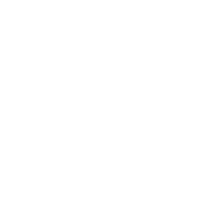 Seaesta Surf