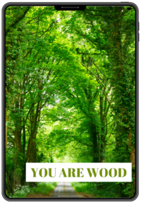 wood feng shui element book by rodika tchi - your personal energy - feng shui home and life makeover with rodika tchi feng shui master consultant vancouver bc canada