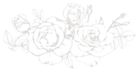 line drawing of roses