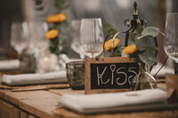 Paardenfotograaf Beringen, Limburg