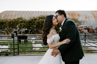 A person kissing their partner on the cheek on their wedding day 