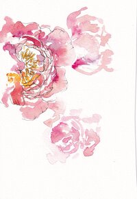 Ink and Wash Florals: Stunning Botanical Projects in Watercolor and Ink