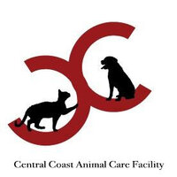 animal rescue newcastle & central coast