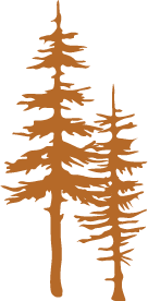 orange painting of pine trees