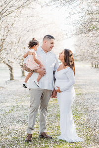 bay area family photographer, bay area wedding photographer, san francisco maternity photographer