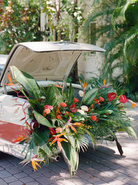 Tropical Foliage spills out of the trunk of a classic car.