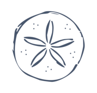 Navy, handdrawn sand dollar icon
