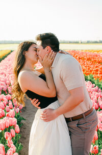 A couple kisses in the tulip fields in Holland. 