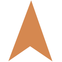 Compass Arrow Icon pointing South.