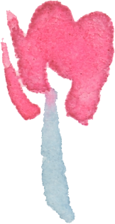 floral-whwi-pink-3