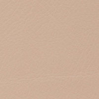 Leather-Standard-Blush