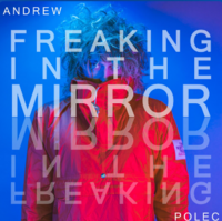 Cover art for Freaking in the mirror by Andrew Polec