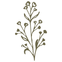Flower brand element in Merlyn Asencio's logo, symbolizing personal growth, healing, and the nurturing approach of her trauma therapy practice in Miami, Florida