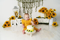 Cake Smash Portraits Hampton Roads VA | The Baby Photog