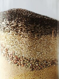 Using the SIGHI Food List to Support Energy & Healing
