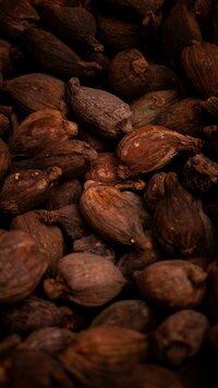 Cacao Ritual Cacao Bohnen