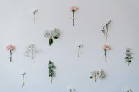 Flower stems taped to a light wall | Rooted Within holistic family support