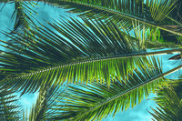 desktop_g_image 9