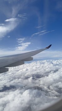 A view from out a plane window. 