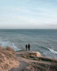 lisha-riabinina-ND4gsGG59sg-unsplash
