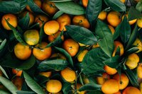 oranges for vitamin c