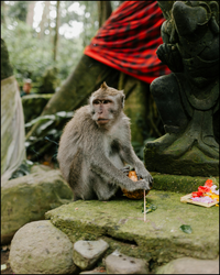 Thailand Women Only Travel Group