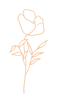 Spell Events web element floral line art