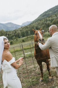 couple at their bc wedding while feeding horses
