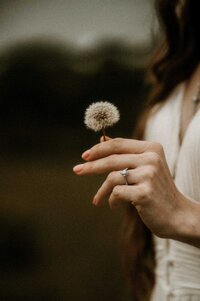 vow book fine art wedding photographer Missouri