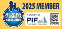 BDGA 2025 Logo