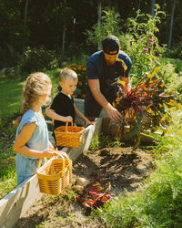 Dad works in the garden while children hold harvesting baskets