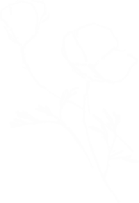 poppy