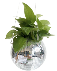 Disco Planter 