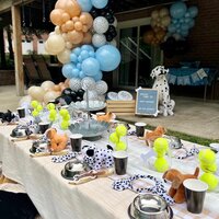 We provide services as an event planner, party stylist and event party rentals. Party settings include: sleepovers, slumber, indoor picnics, outdoor picnics and spa. These settings can be setup in a variety of themes as unicorns, safari, construction zone, candyland, fairies, tea party.