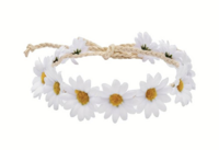Daisy Flower