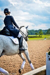 Dressage rider and trainer based in Lancaster, PA