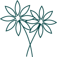Black illustration of daisy flower