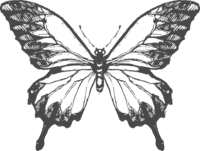 About Mary Dunn - Owner - Designer - Patina Web Design Co.