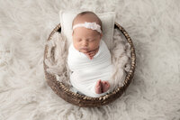 knoxville baby photographer