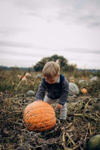 taisiia-shestopal-wvfvQ4Uxvu0-unsplash