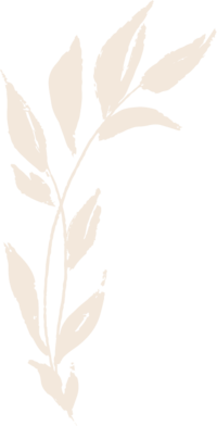 Leafy branch illustration