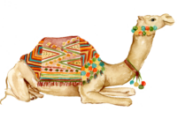 handpainted watercolor camel in boho theme
